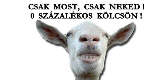 CSAK MOST, CSAK NEKED! 0 SZÁZALÉKOS KÖLCSÖN!