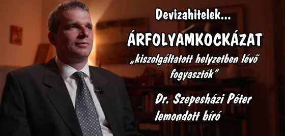 DEVIZAHITELEK-ÁRFOLYAMKOCKÁZAT-DR. SZEPESHÁZI.