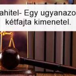 Devizahitel-Egy ugyanazon ügy, kétfajta kimenetel.