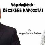 Dr. Varga-Damm Andrea, devizahitel, Nemzeti Civil Kontrol, Végrehajtások - KECSKÉRE KÁPOSZTÁT