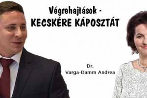 Dr. Varga-Damm Andrea, devizahitel, Nemzeti Civil Kontrol, Végrehajtások - KECSKÉRE KÁPOSZTÁT