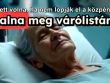 Mi lett volna, ha nem lopják el a közpénzt?
